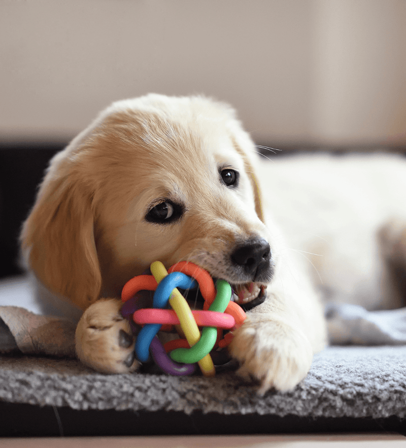 Jouets