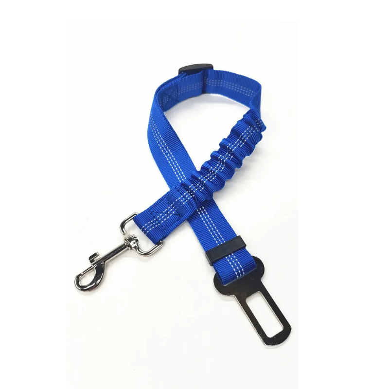 Ceinture de Sécurité DriveSafe