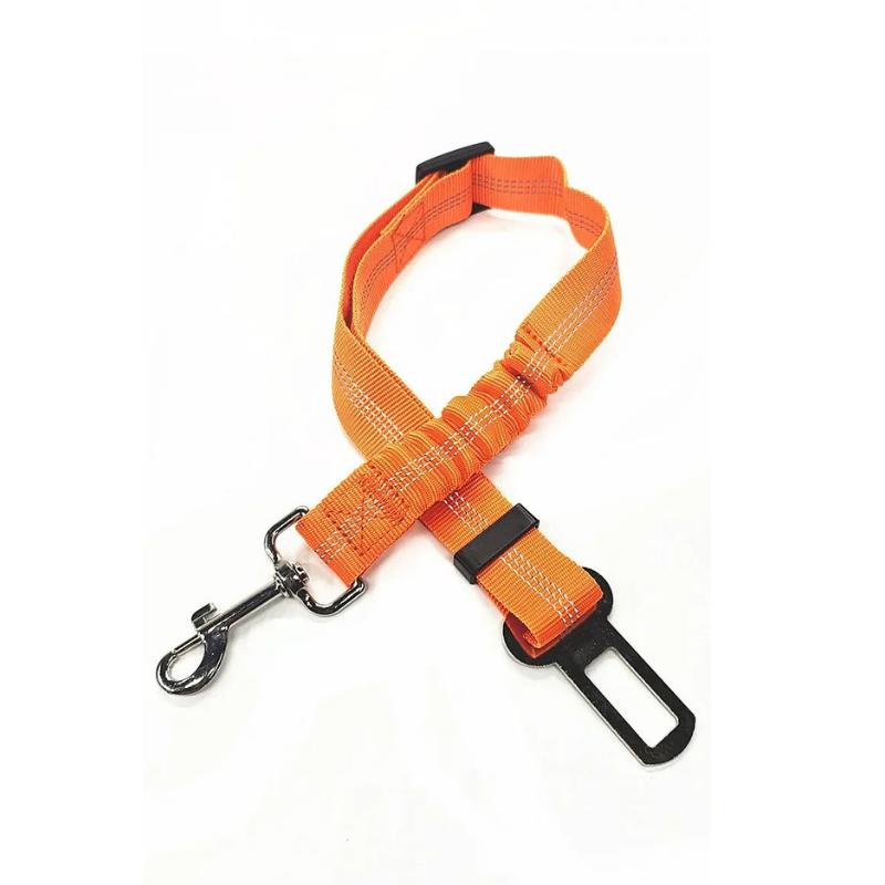Ceinture de Sécurité DriveSafe