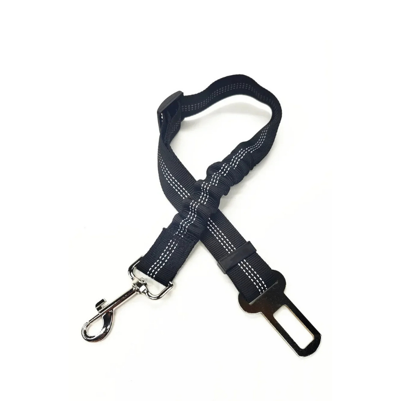 Ceinture de Sécurité DriveSafe