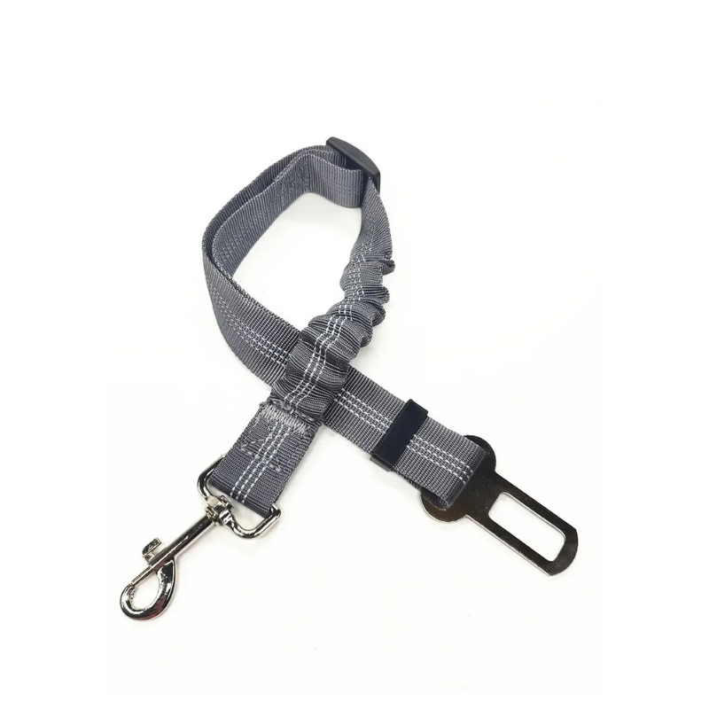 Ceinture de Sécurité DriveSafe