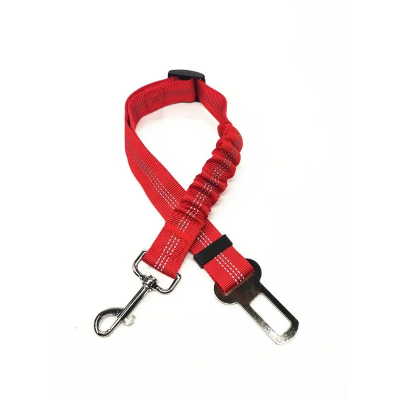 Ceinture de Sécurité DriveSafe