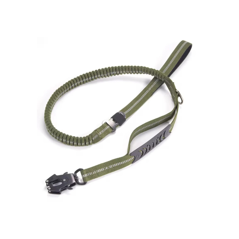 Laisse Explorer Flex