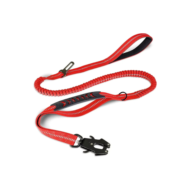 Laisse Explorer Flex