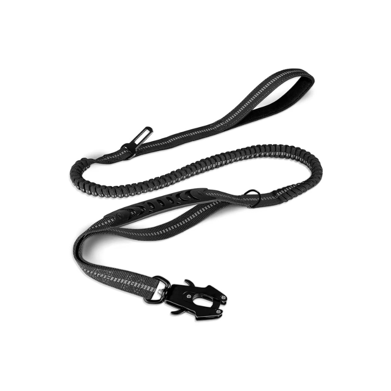 Laisse Explorer Flex