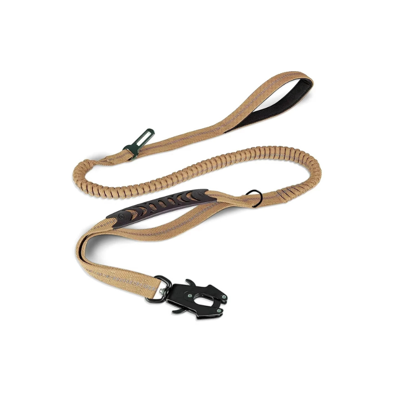 Laisse Explorer Flex