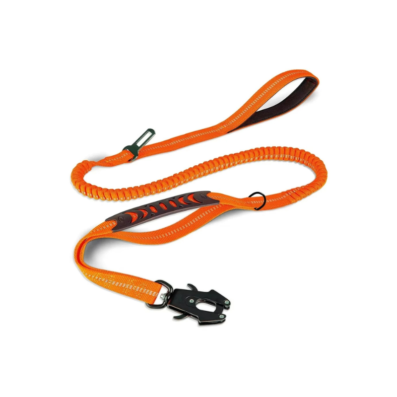 Laisse Explorer Flex