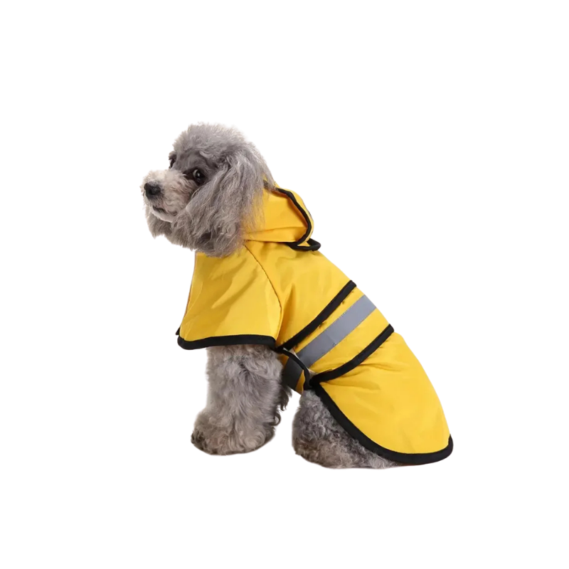 Imperméable Rainy