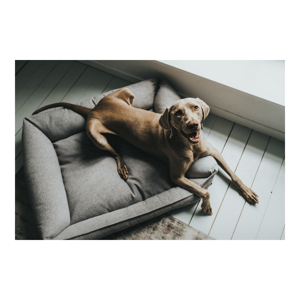 Sofa Prag Gris (90×70 cm) - Hunter