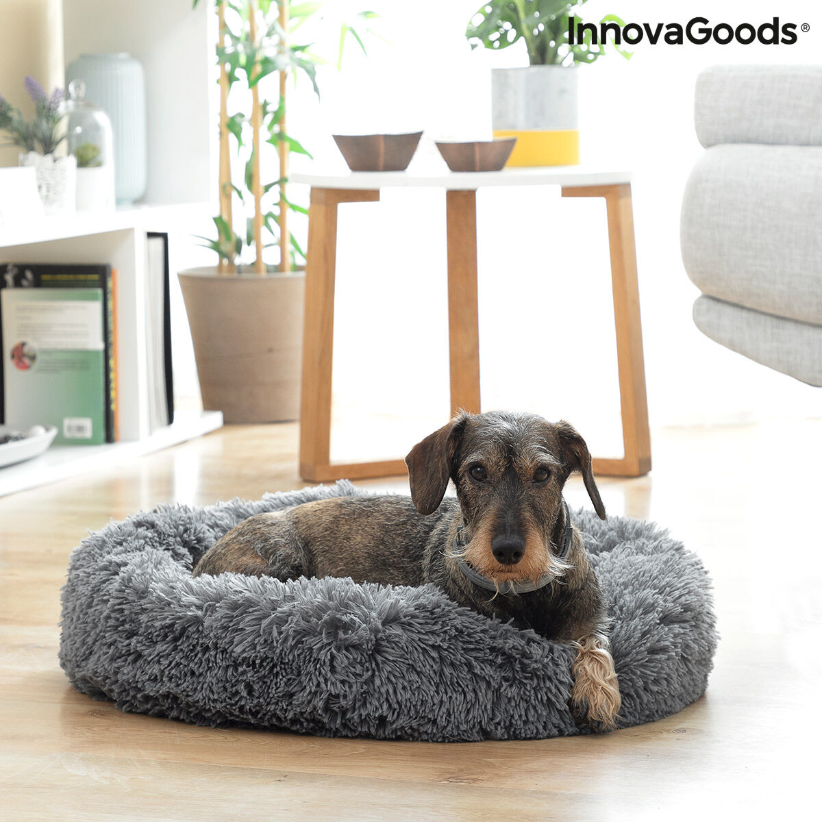 Coussin anti-stress InnovaGoods