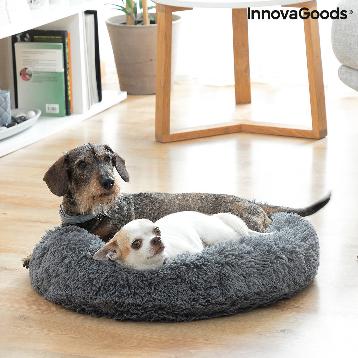 Coussin anti-stress InnovaGoods