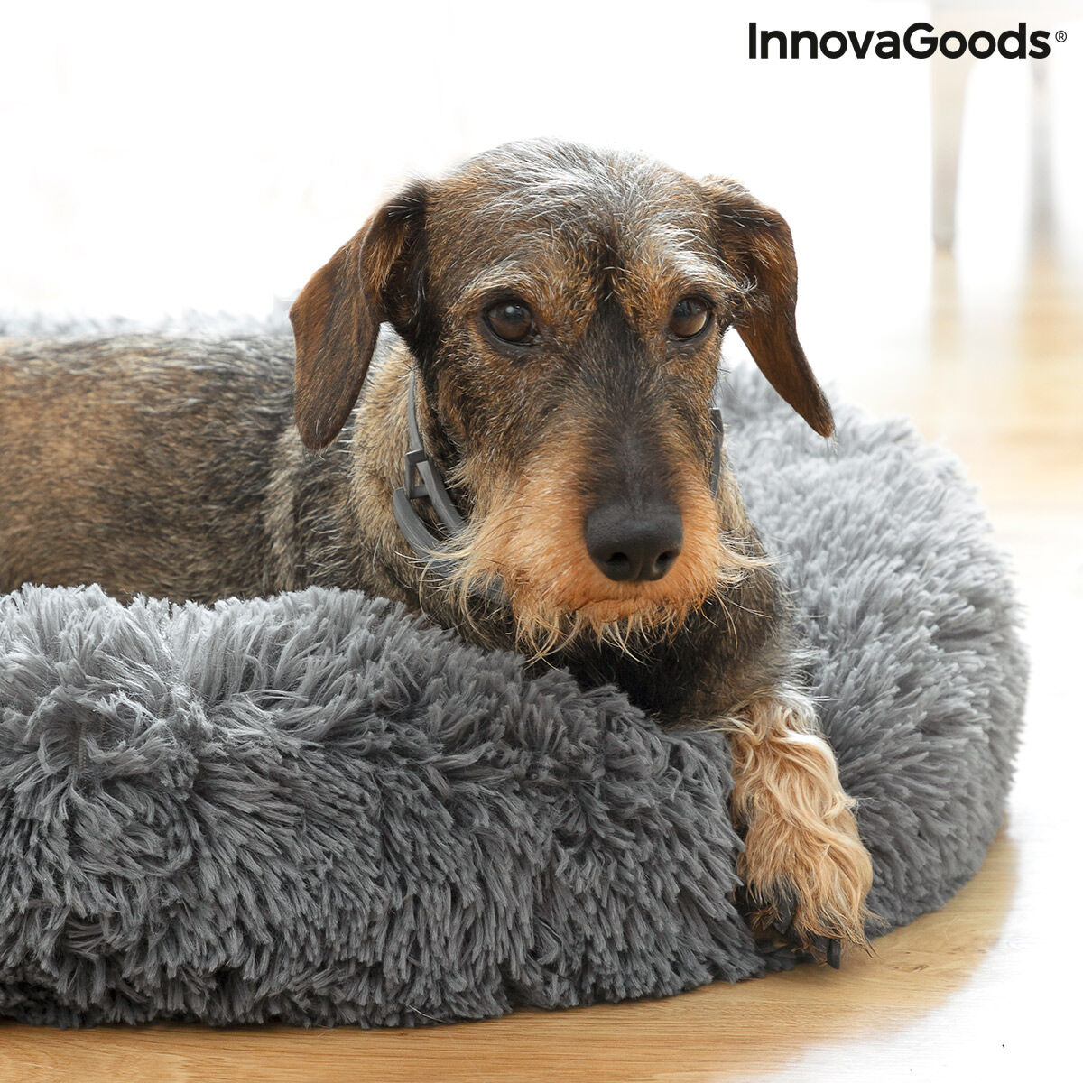 Coussin anti-stress InnovaGoods