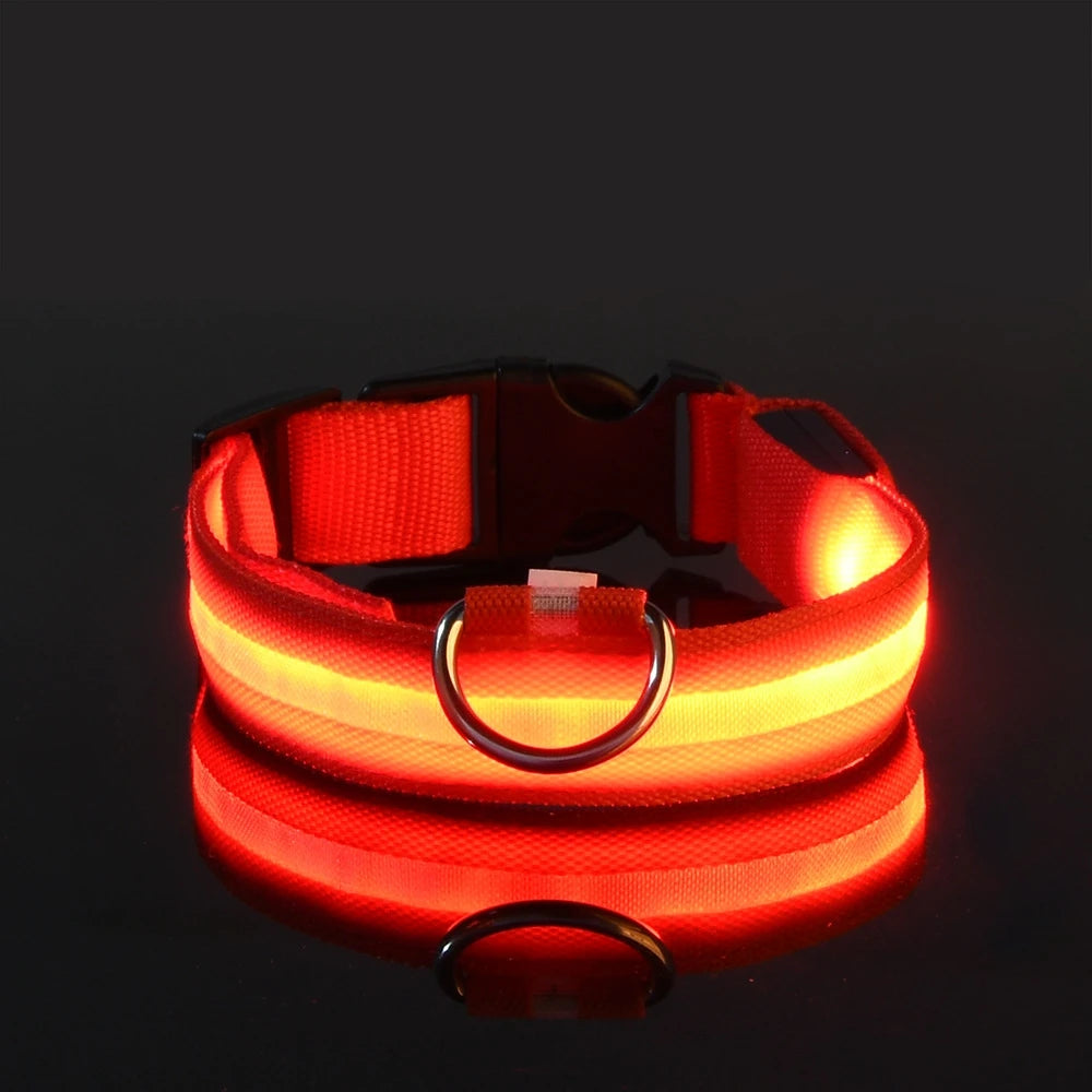 Collier Halo LED