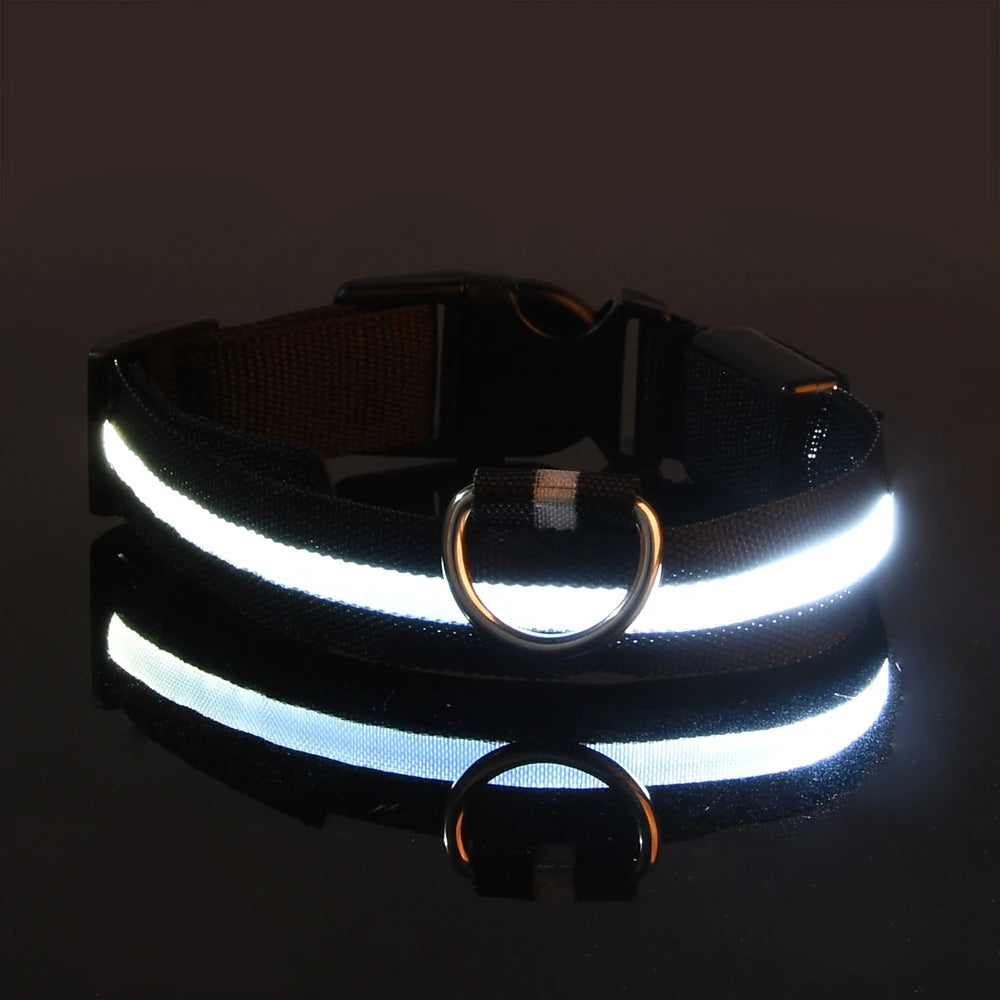 Collier Halo LED