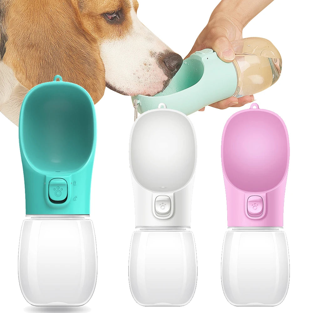 Gourde portable