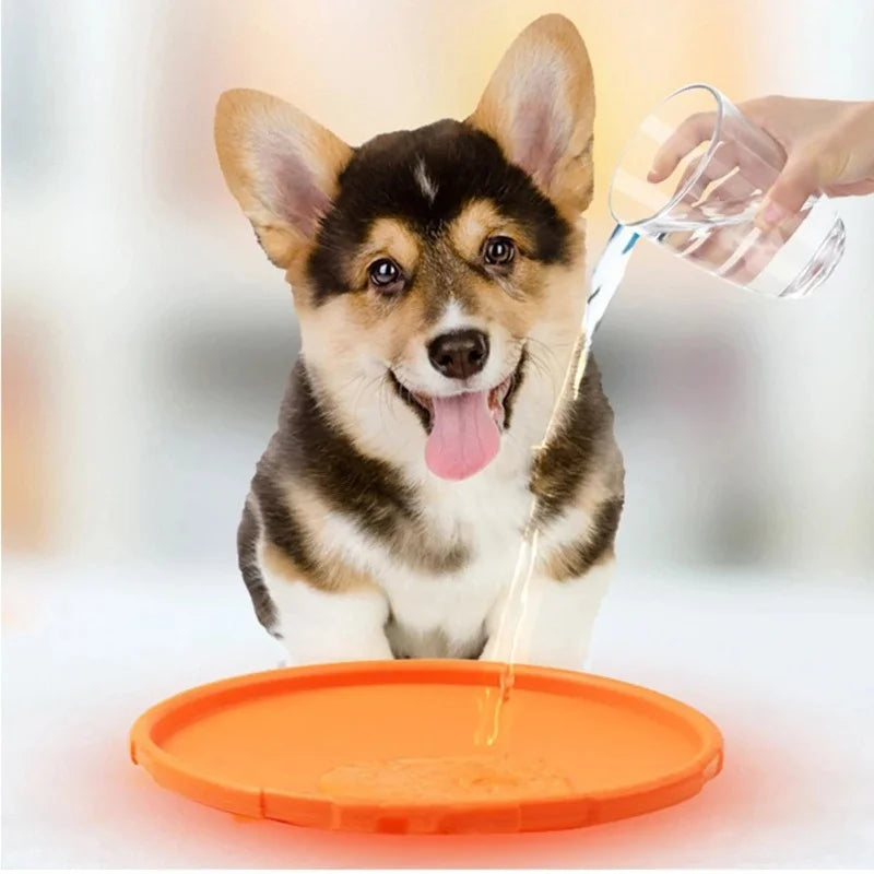 Frisbee Playtime