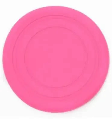 Frisbee Fly & Play