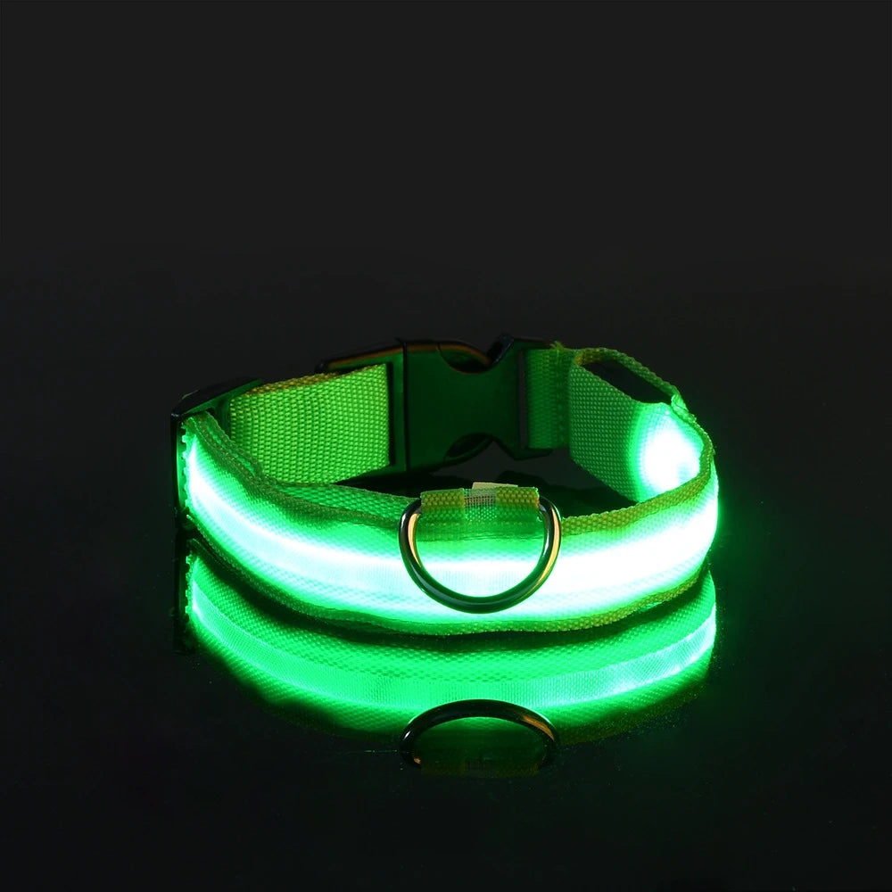 Collier Halo LED