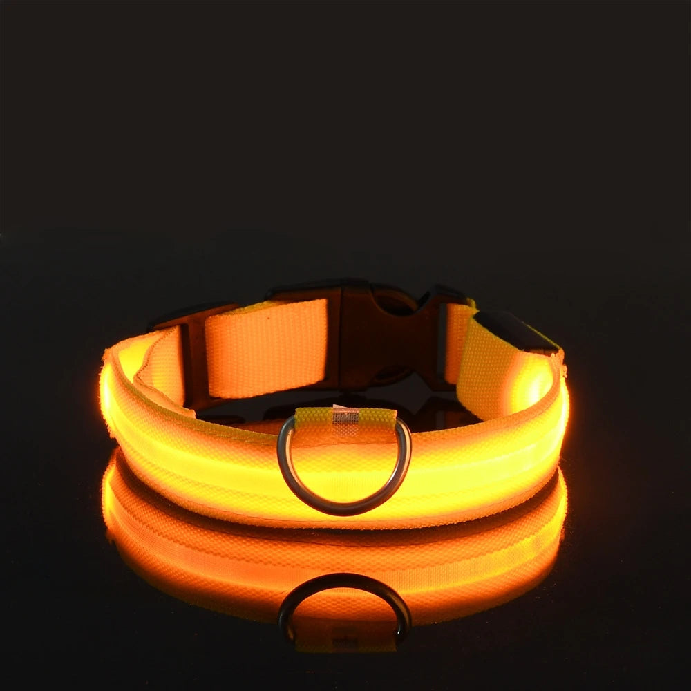 Collier Halo LED