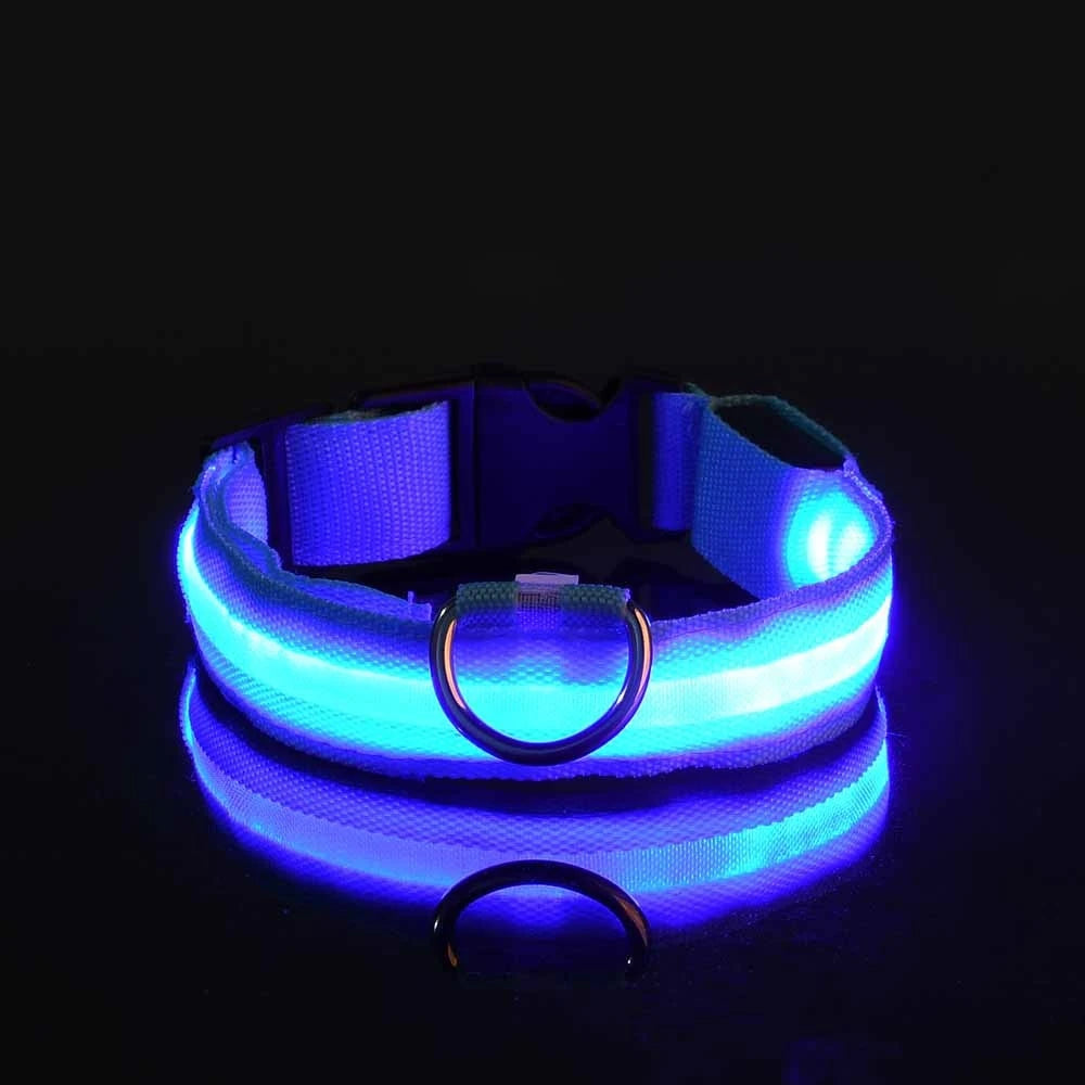 Collier Halo LED