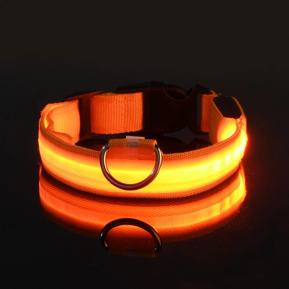 Collier Halo LED