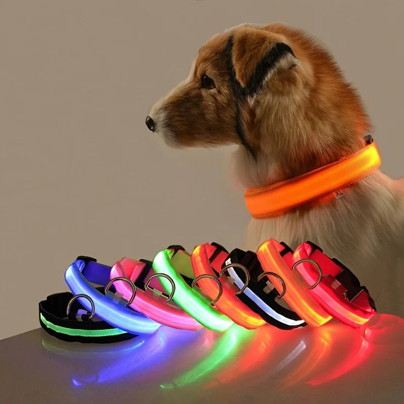 Collier Halo LED