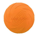Frisbee Playtime