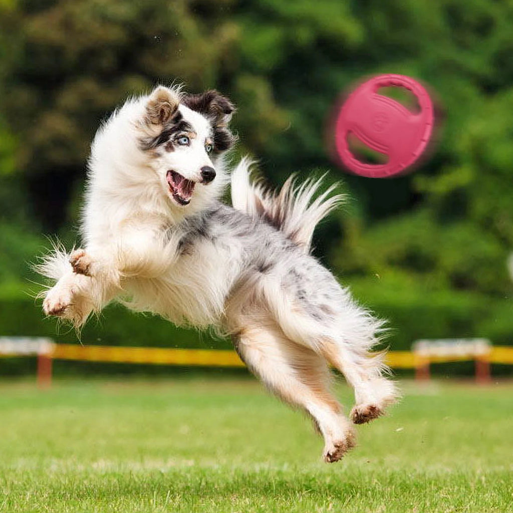 Frisbee Grip & Play