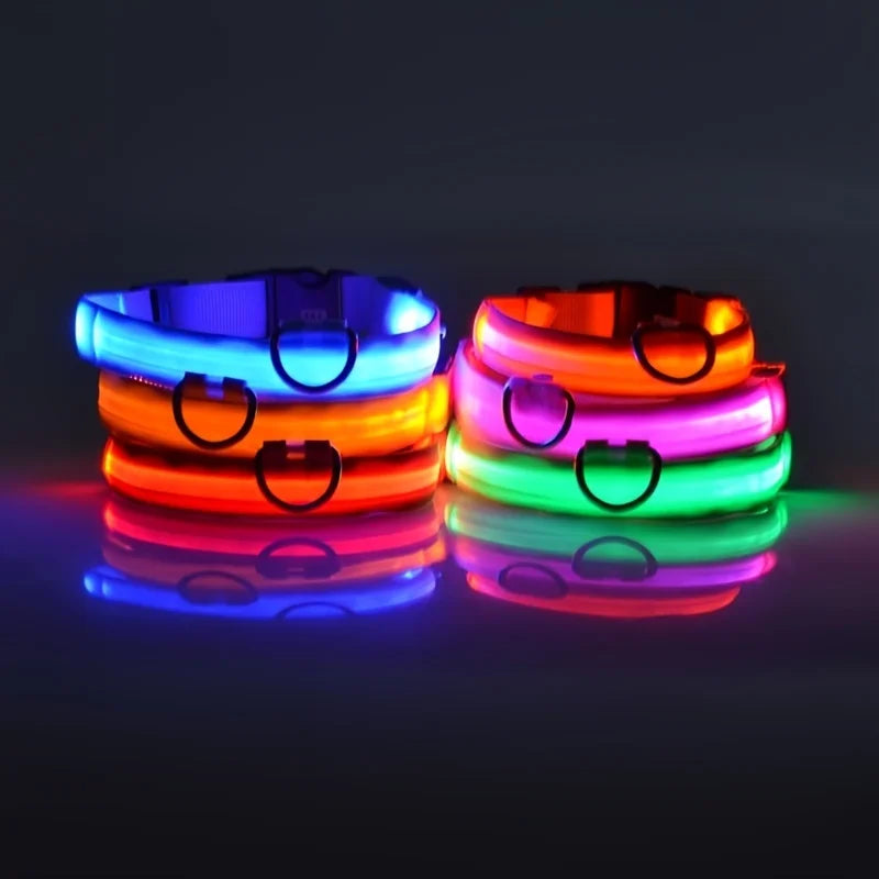 Collier Halo LED
