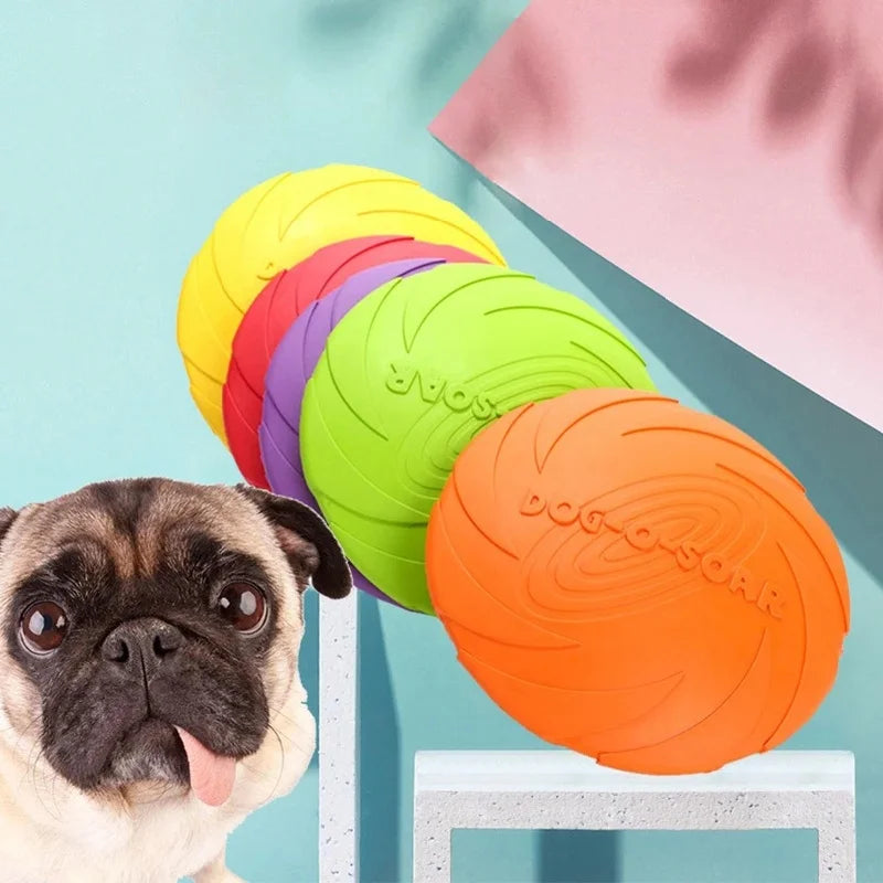 Frisbee Playtime