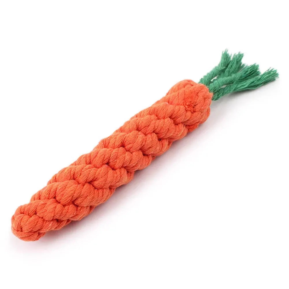 Croc’Carotte