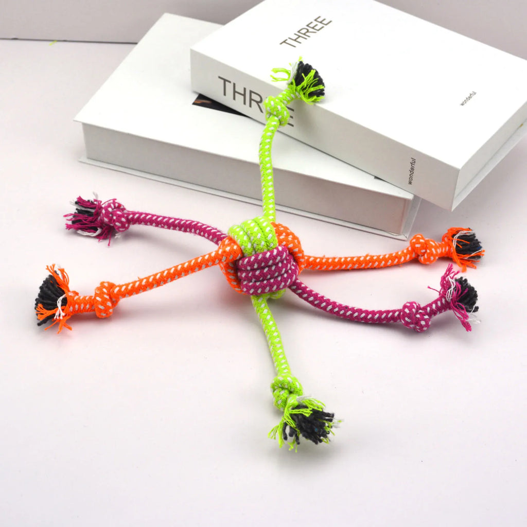 Croc’Battle