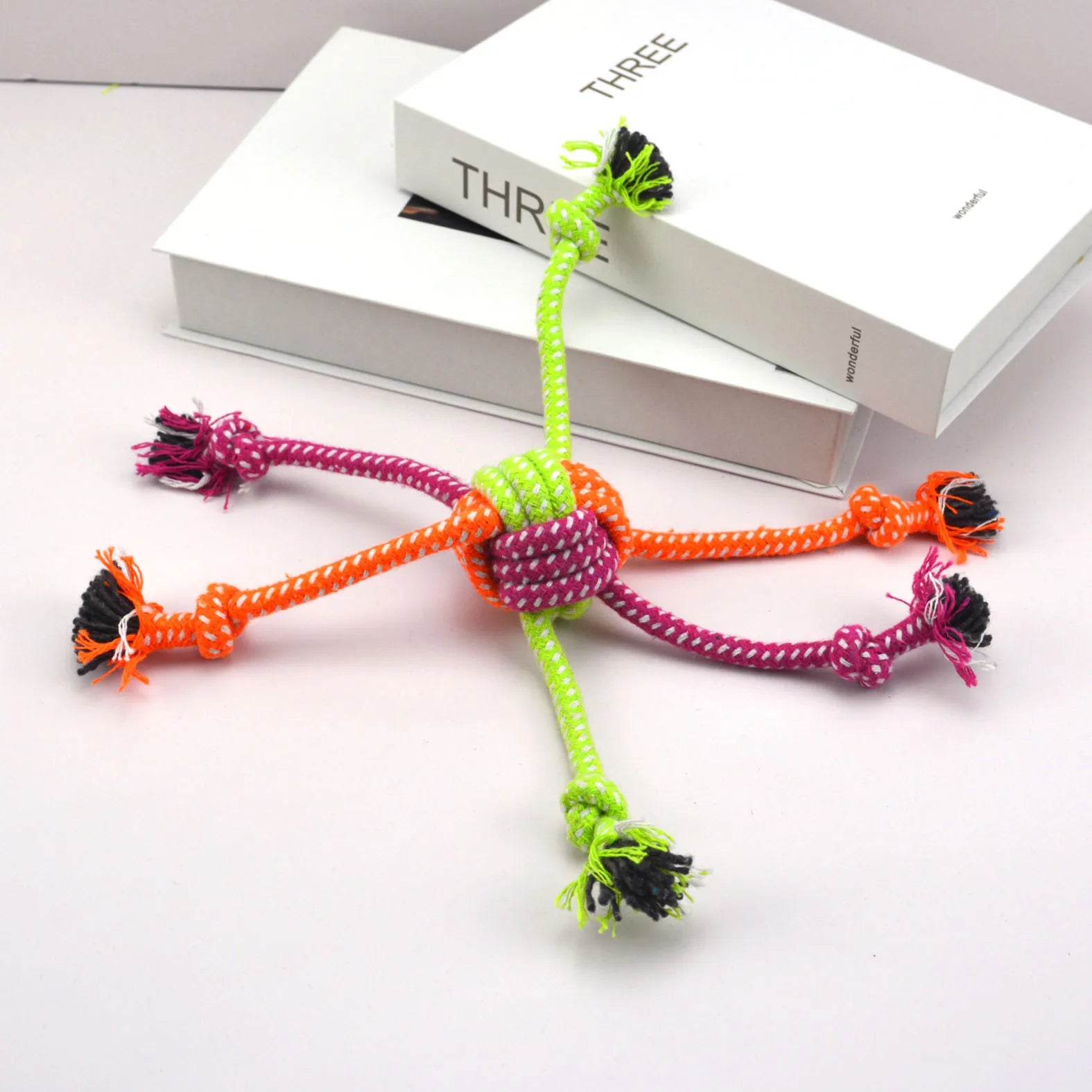 Croc’Battle