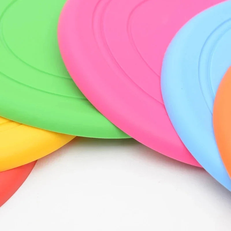 Frisbee Fly & Play