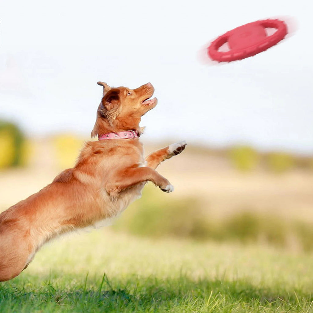 Frisbee Grip & Play