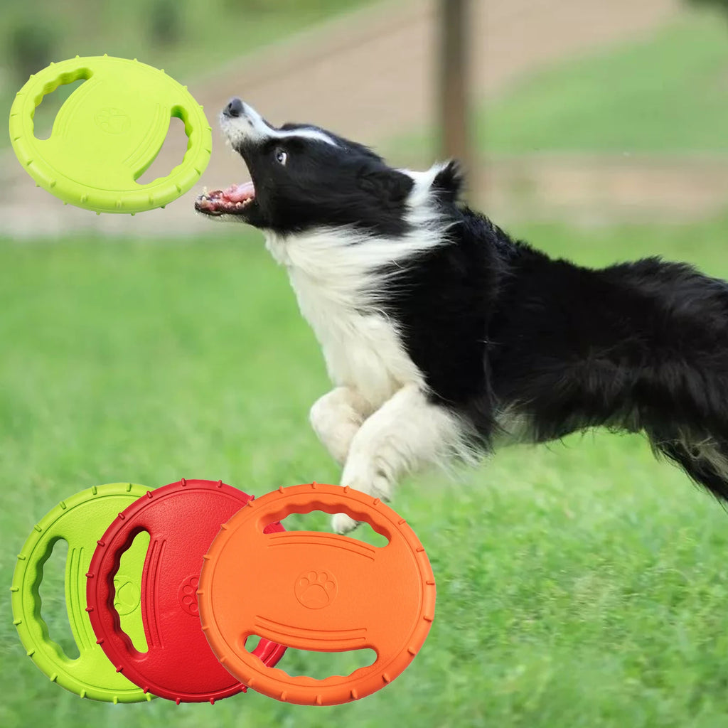 Frisbee Grip & Play