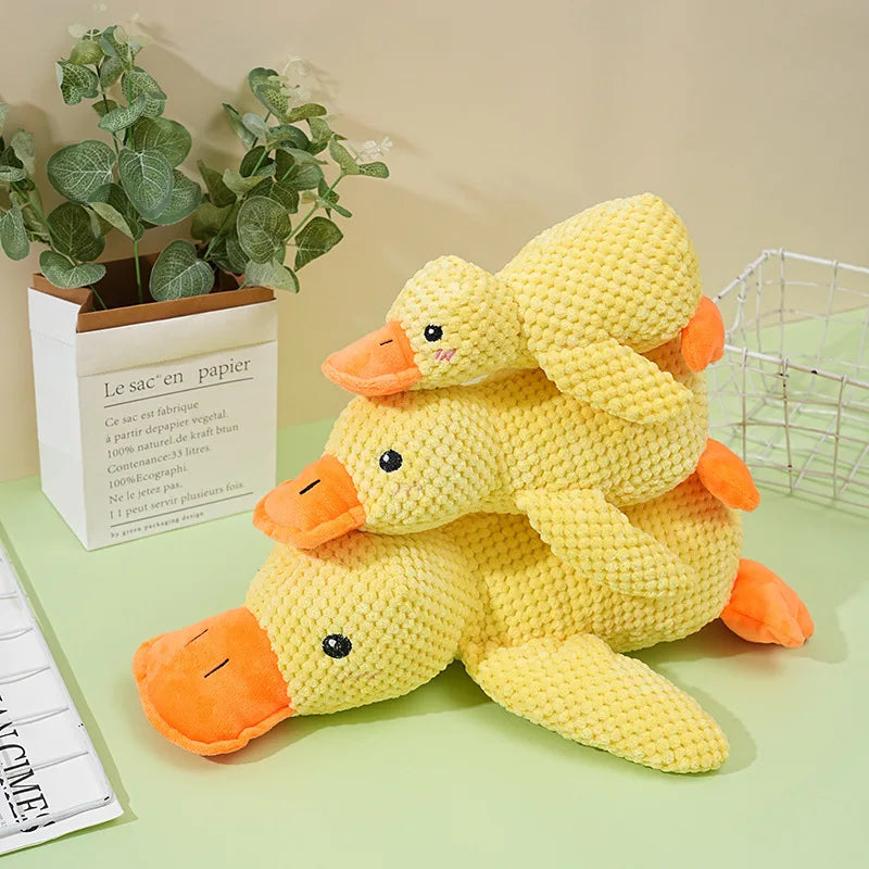 Ducky Croc