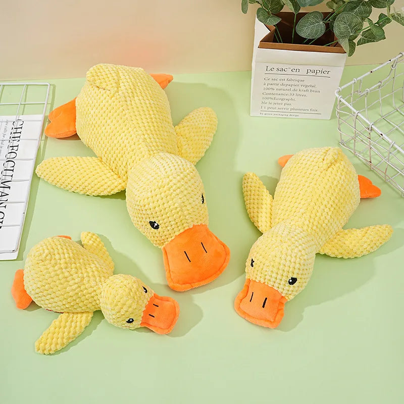 Ducky Croc