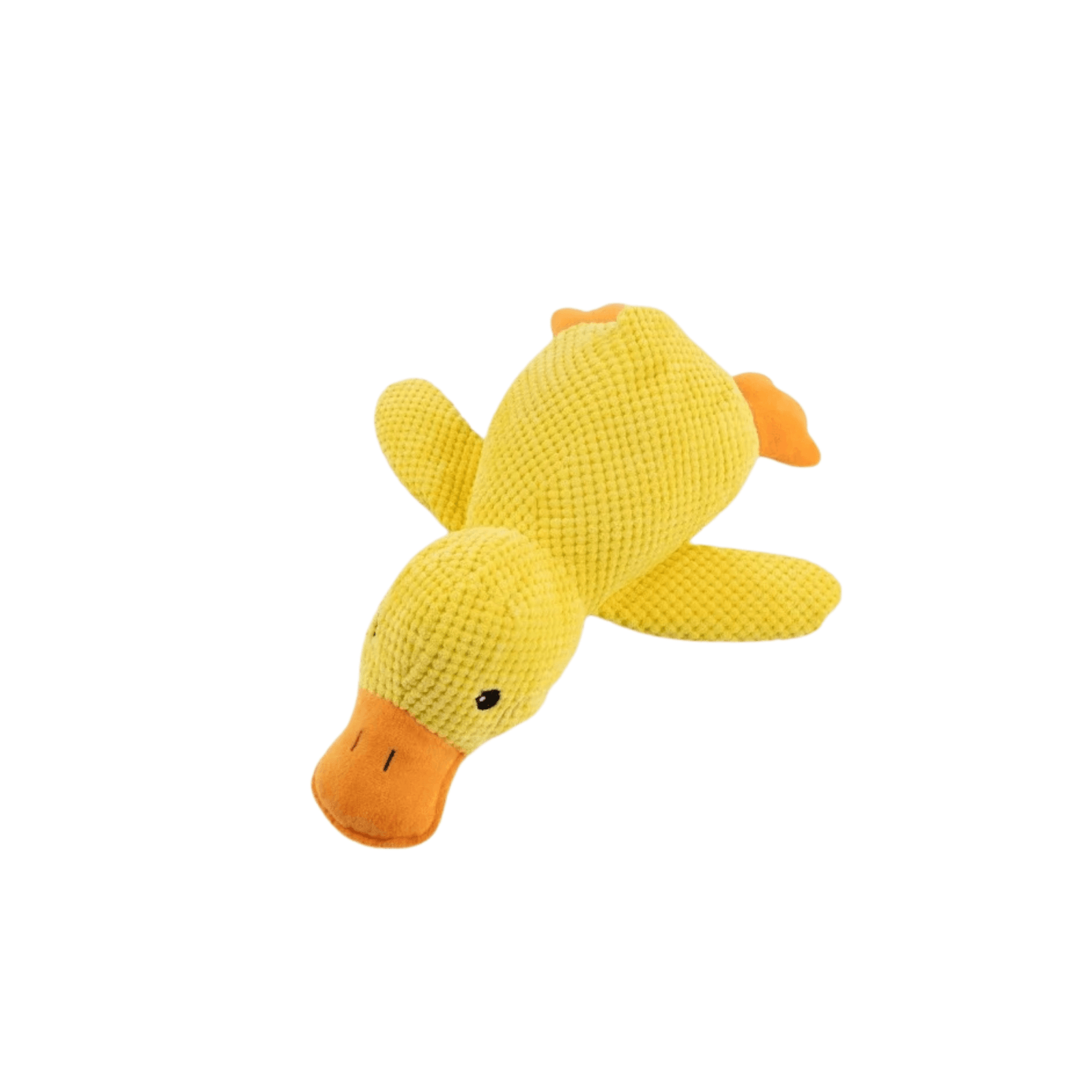 Ducky Croc