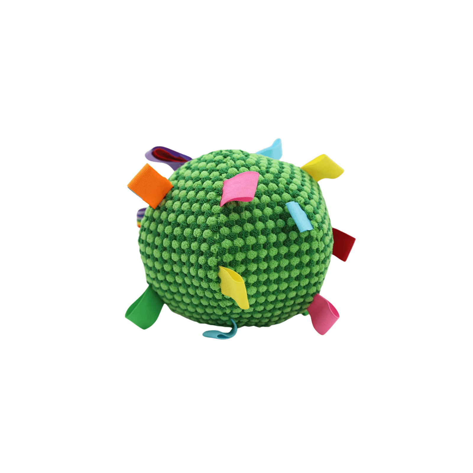 Croc’Buzz