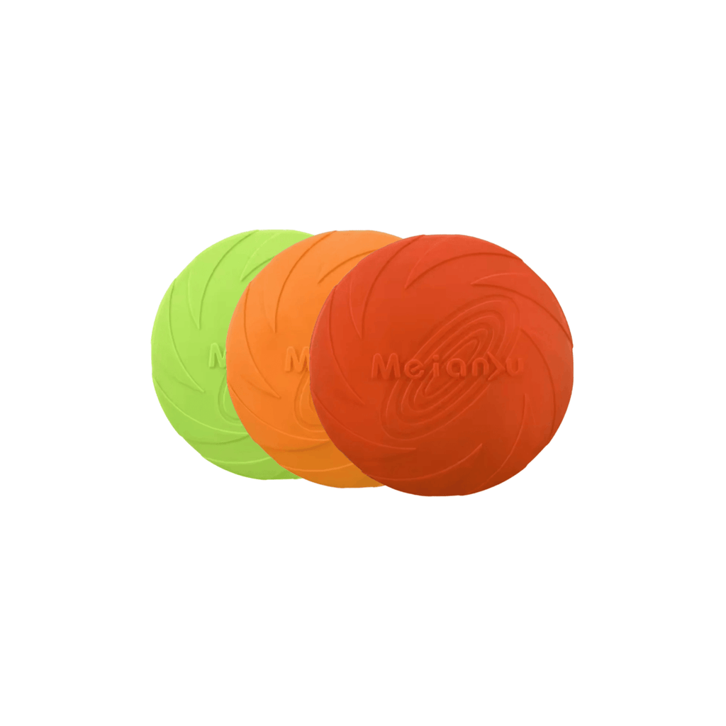 Frisbee Playtime