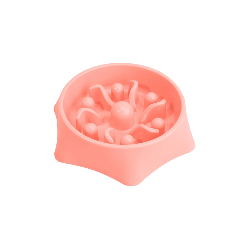 Glouty’Lotus