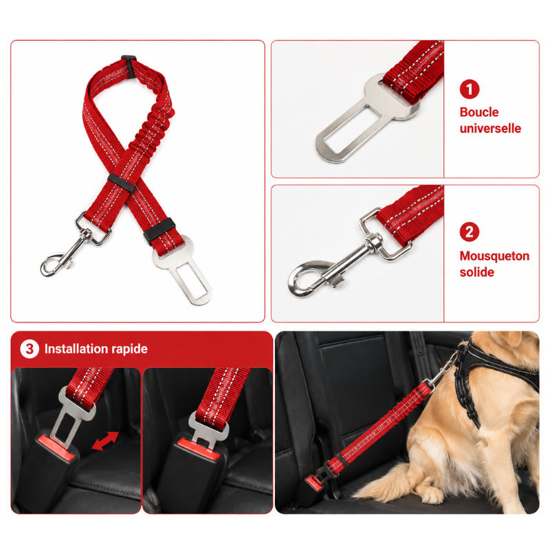 Ceinture de Sécurité DriveSafe