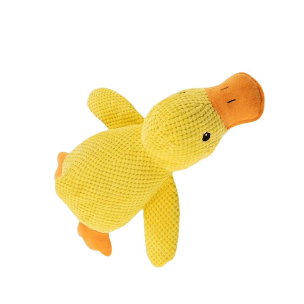 Ducky Croc